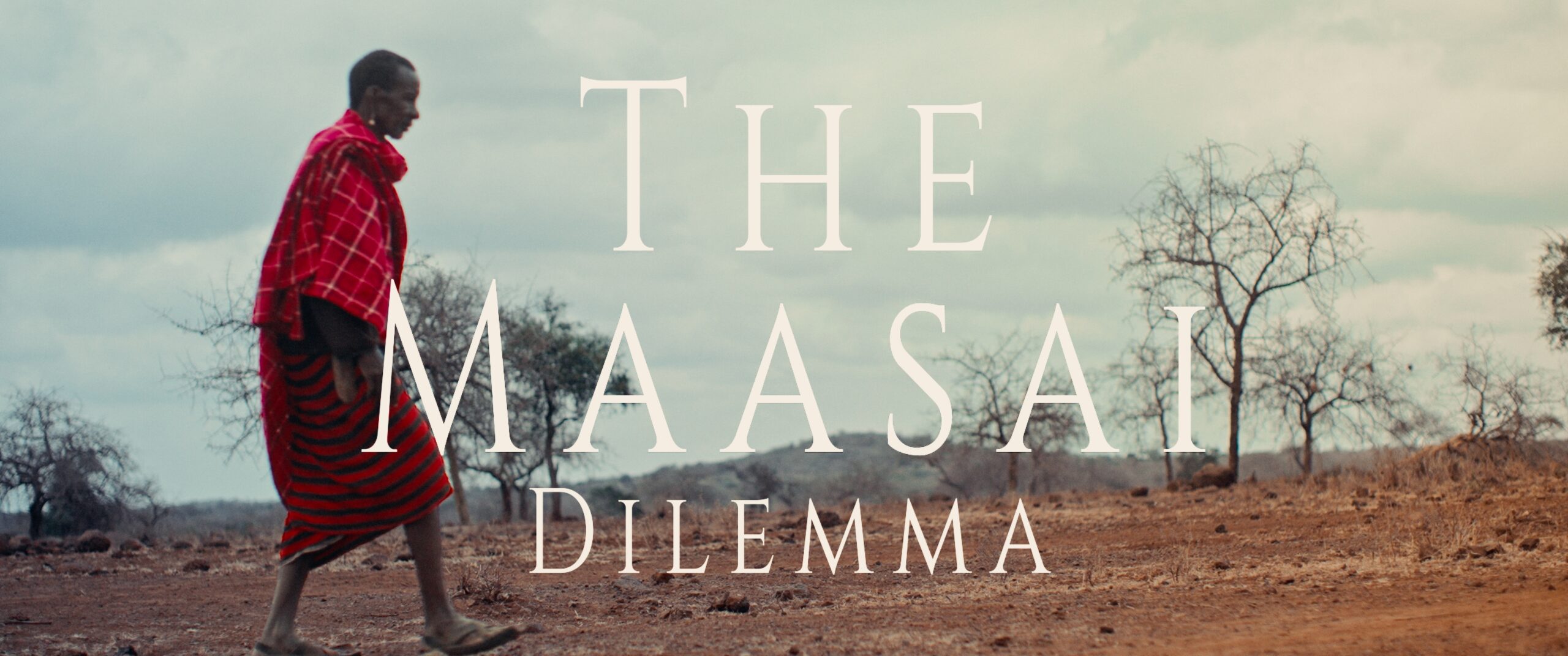 The Maasai Dilemma documentary poster featuring a Maasai man walking across the landscape